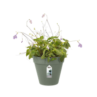 loft urban green wall single 15cm pistachio green